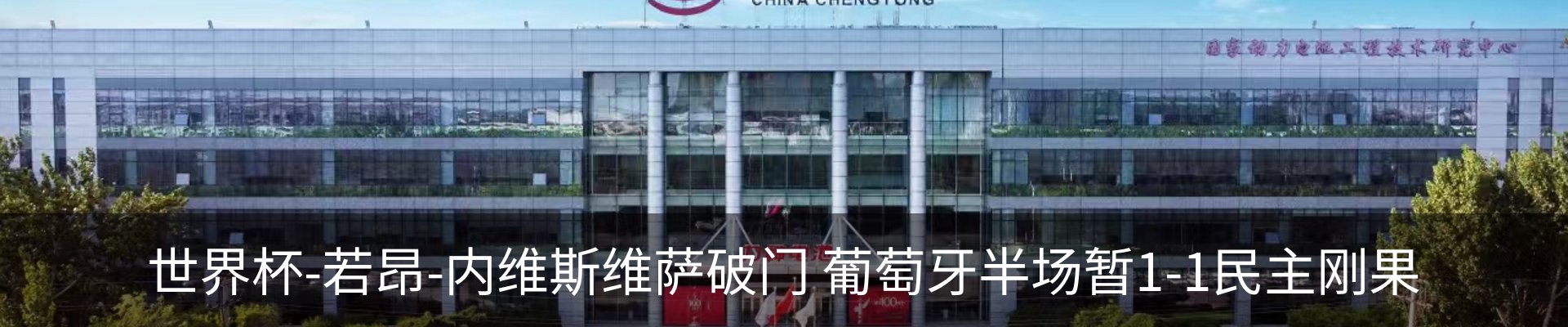 新闻动态