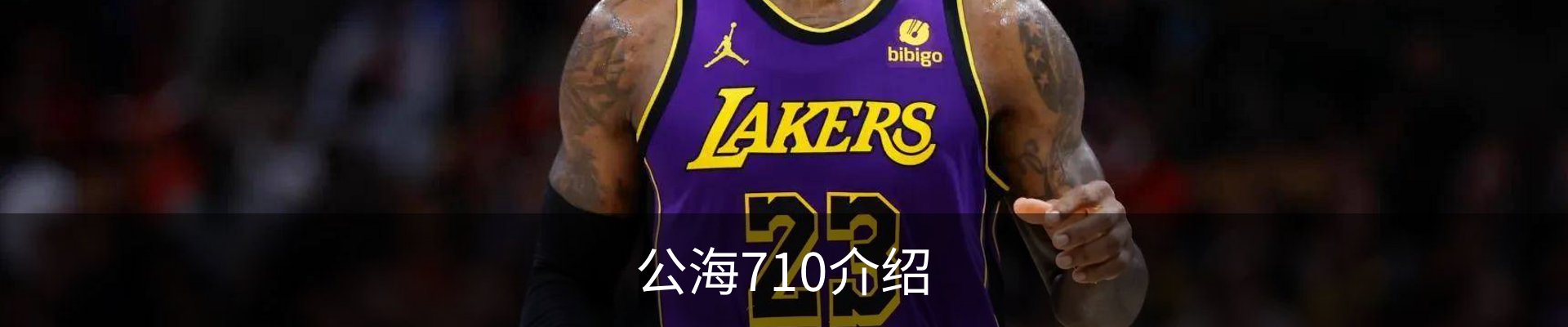 公海710介绍