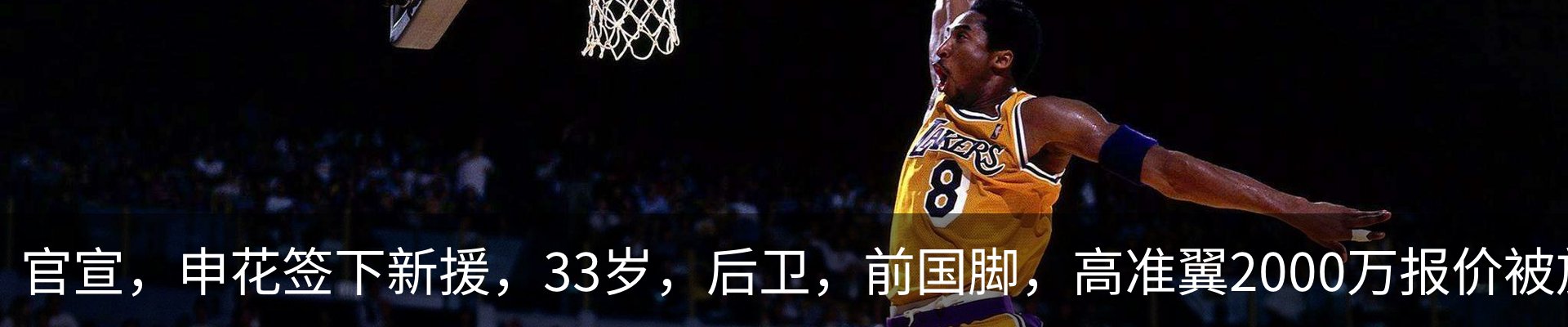 新闻动态