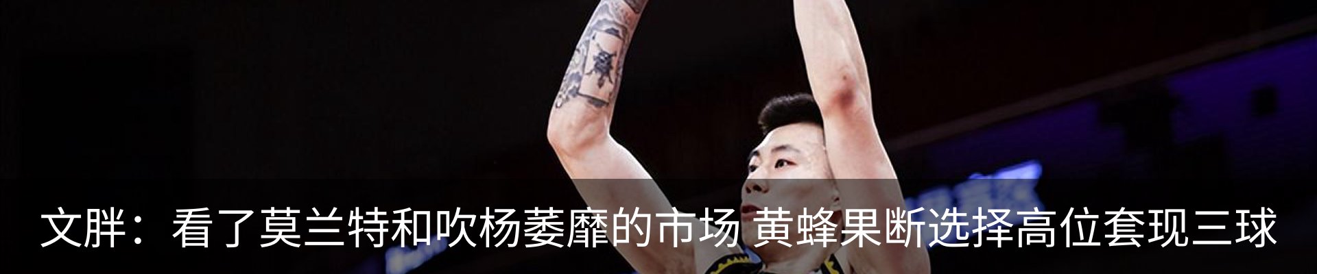 新闻动态
