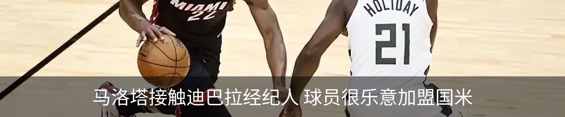 新闻动态
